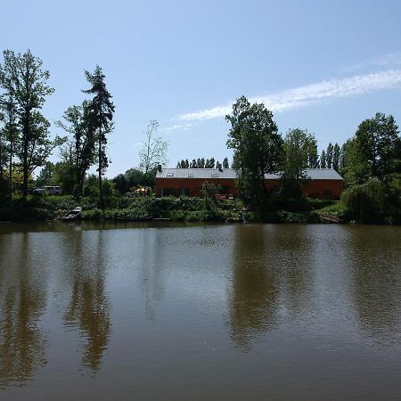 Florennes Gite Neuf 150 M2 Devant Un Grand Lac Prive De 2 Hectares Poissonneux Au Milieu Des Bois Luaran gambar
