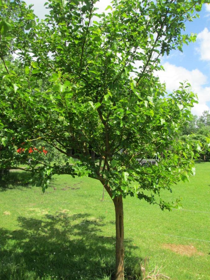Florennes Gite Neuf 150 M2 Devant Un Grand Lac Prive De 2 Hectares Poissonneux Au Milieu Des Bois Luaran gambar