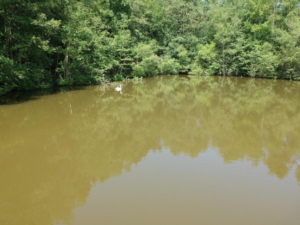 Florennes Gite Neuf 150 M2 Devant Un Grand Lac Prive De 2 Hectares Poissonneux Au Milieu Des Bois Luaran gambar