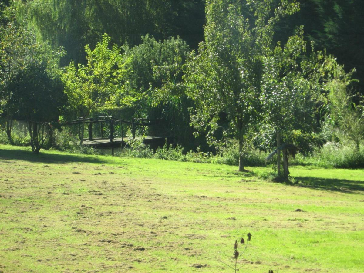 Florennes Gite Neuf 150 M2 Devant Un Grand Lac Prive De 2 Hectares Poissonneux Au Milieu Des Bois Luaran gambar