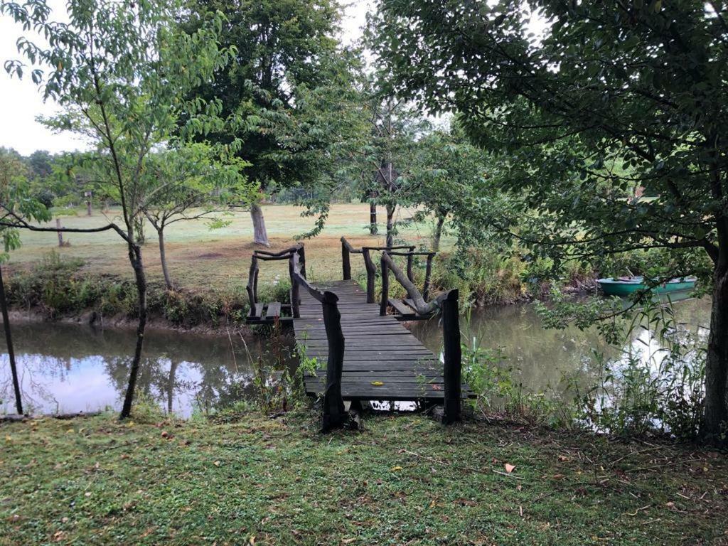 Florennes Gite Neuf 150 M2 Devant Un Grand Lac Prive De 2 Hectares Poissonneux Au Milieu Des Bois Luaran gambar