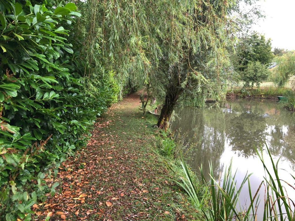 Florennes Gite Neuf 150 M2 Devant Un Grand Lac Prive De 2 Hectares Poissonneux Au Milieu Des Bois Luaran gambar